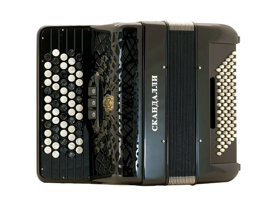 Bayan Musical Instrument C 231