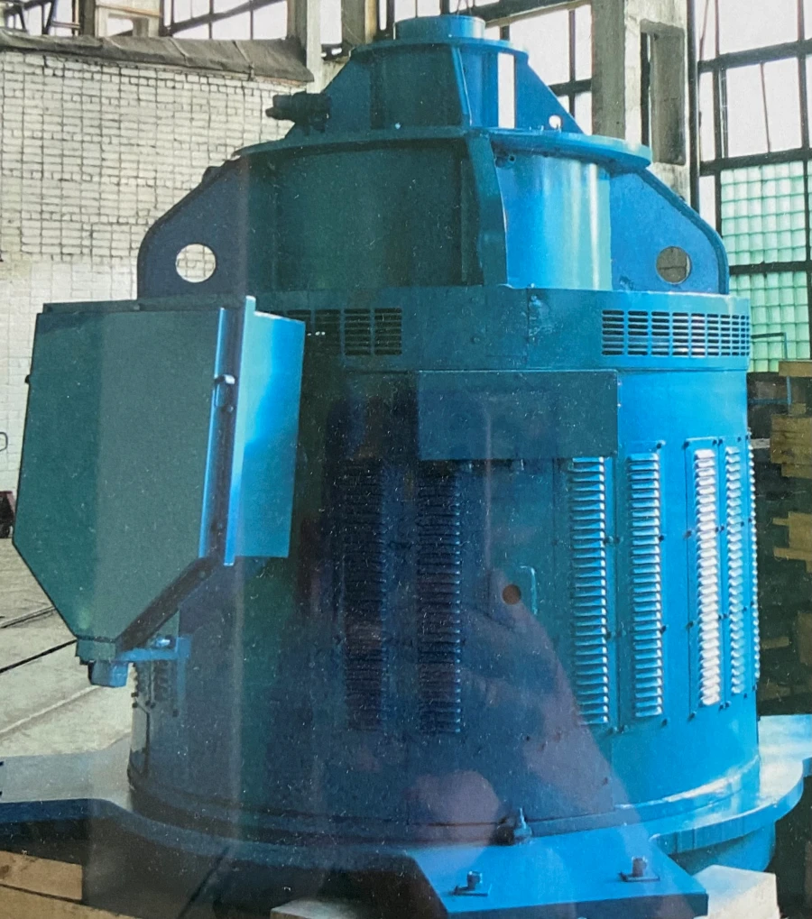 Vertical Asynchronous Motor DВАН143-1000/6-12 U3