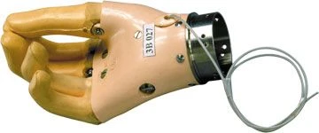 Brush 3V 027 with Passive Grip