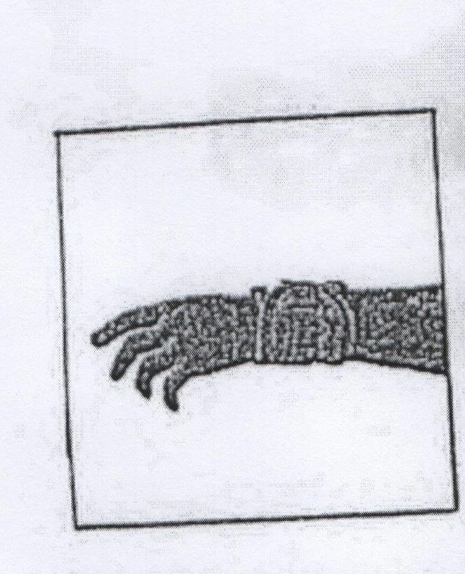 Wrist Joint Brace BN6-58