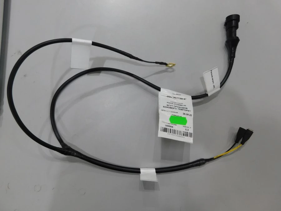 Side Turn Signal Indicator Wire Harness 53215-3724086-55
