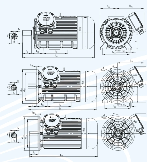 DVR 355 Explosion-Proof Three-Phase Induction Motor 375-750 kW