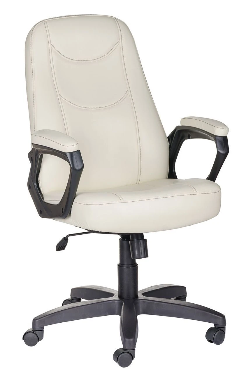 Cost-Effective Amigo Chair for Small Business and Middle Management