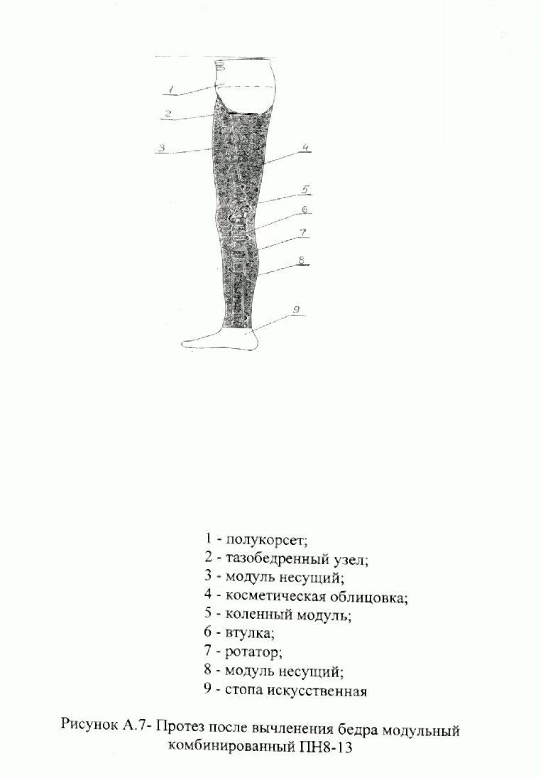 Modular Prosthesis for Hip Disarticulation PN8-13