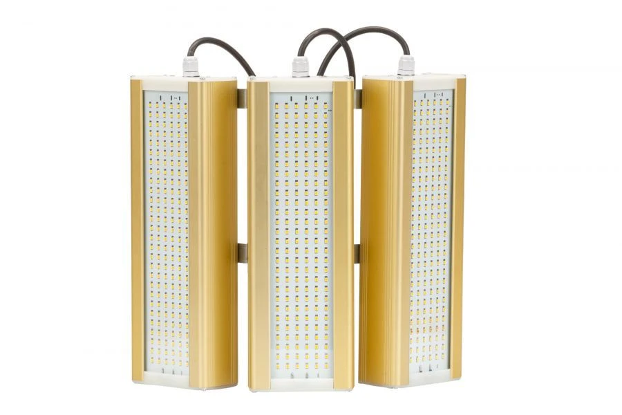 LED Module Gold Light Fixture, Console KM2-3, 5000K, 186W