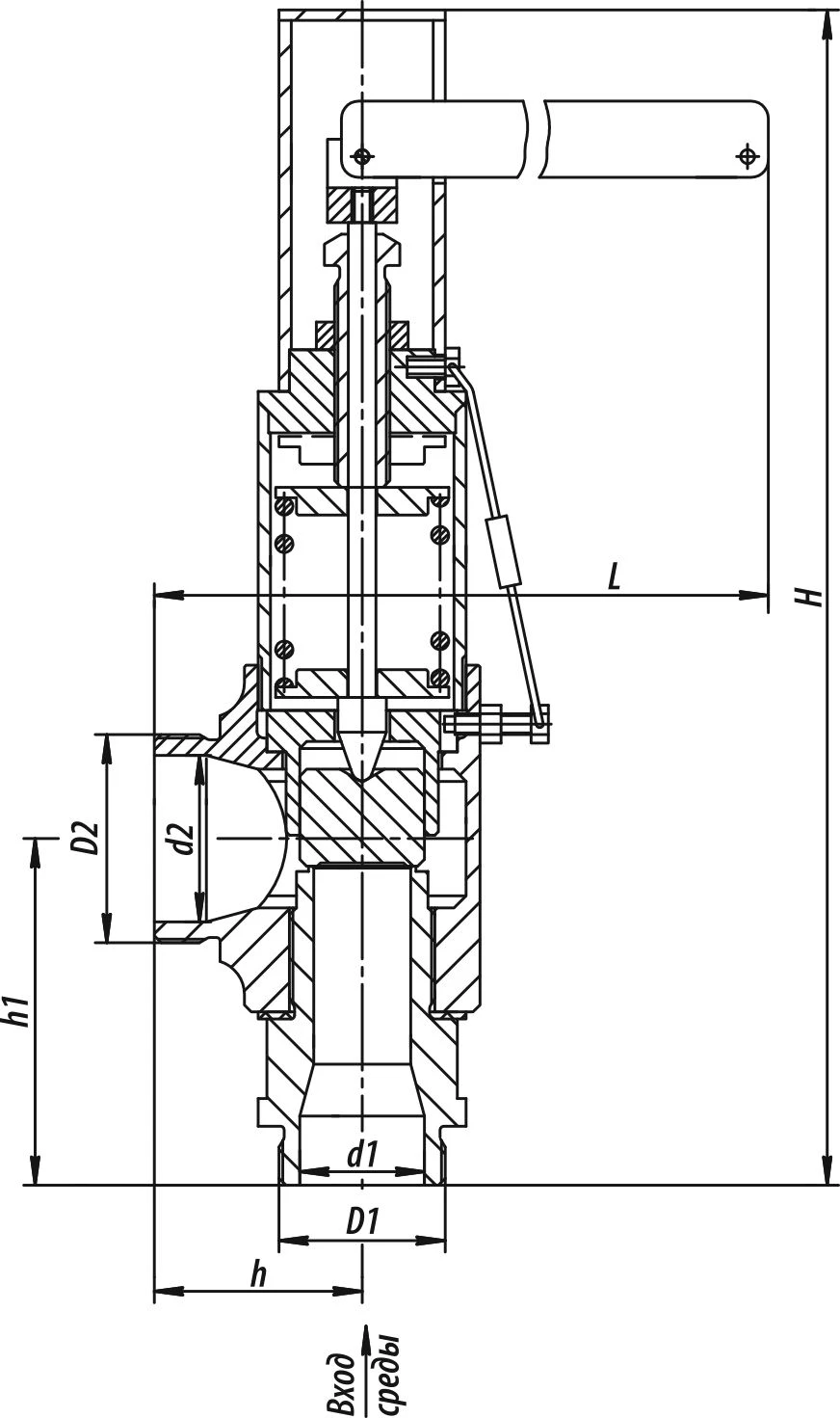 Direct-Acting Safety Valve 17с-1-2
