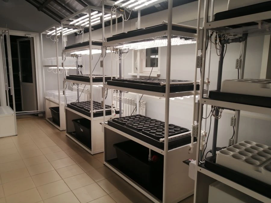 Hydroponic System for Seedling Cultivation - SCHOOL