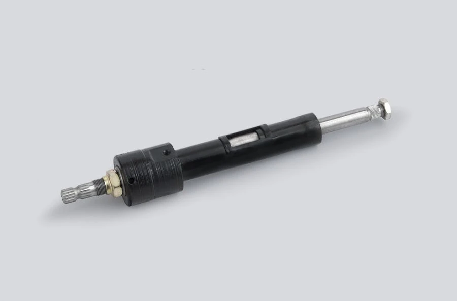 Steering Column with Shaft 220695340109800