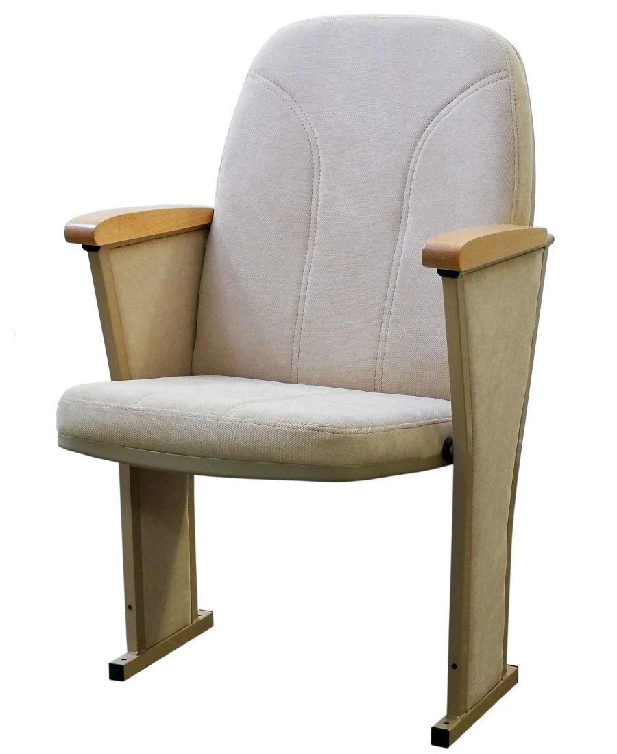 Theater Seat Consul for Auditoriums
