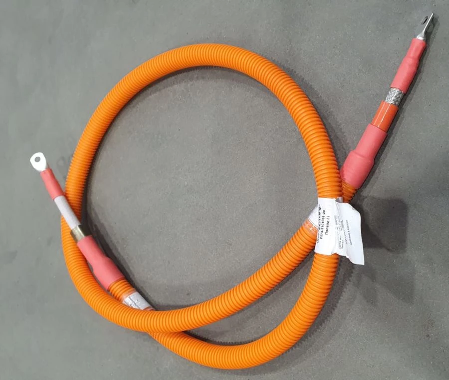 Wire Harness Assembly 6274-2105051-20