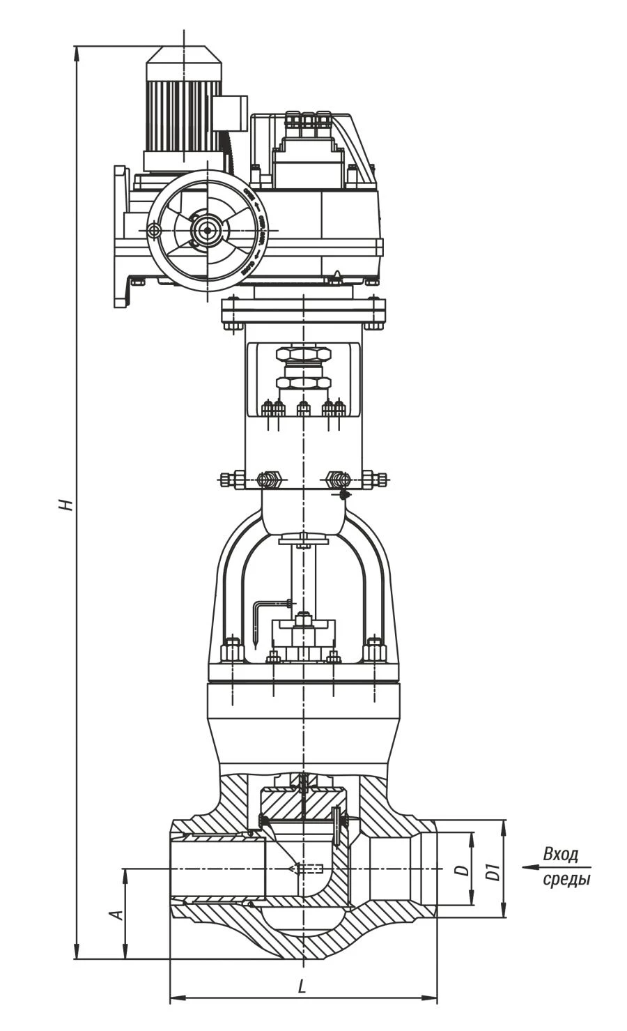 Regulating Valve 21с-100-3-Э