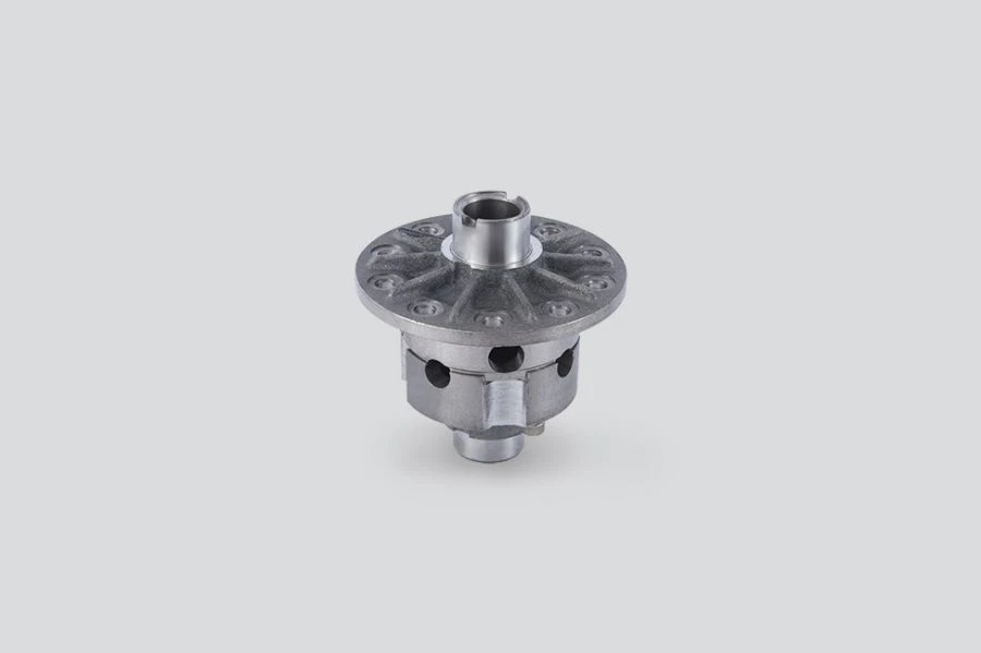 Differential Gearbox 316000240301510