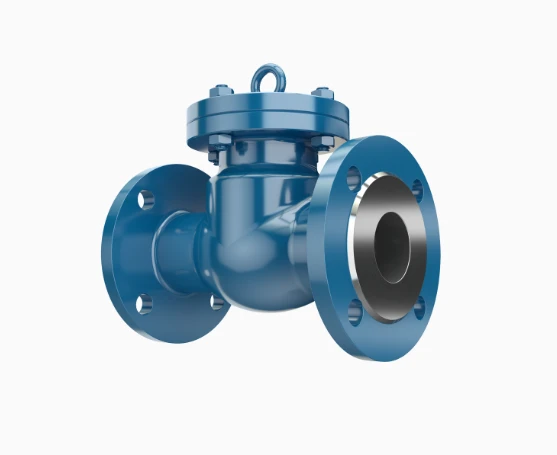 Backflow Prevention Valve PT41015