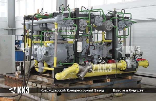 Oil-Free Piston Gas Compressor 2ГМ2,5-4/5С