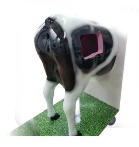 Rectal Examination and Artificial Insemination Training Simulator for Cattle V1002