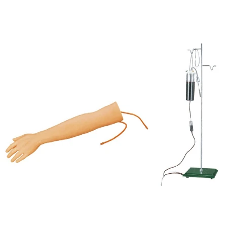 Adult Injection Practice Model with Realistic Skin, Model S