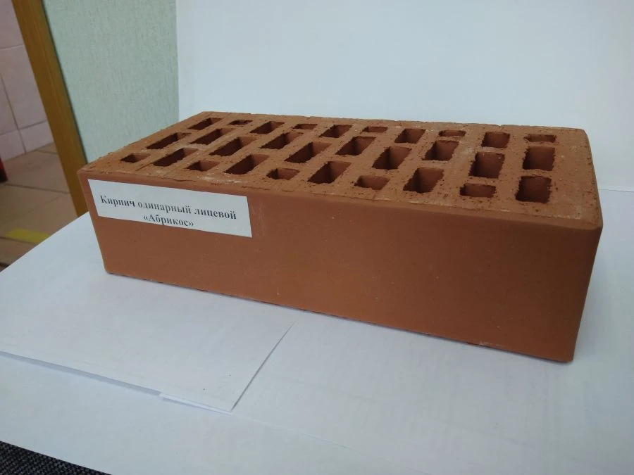 Red Hollow Face Brick for Construction Projects