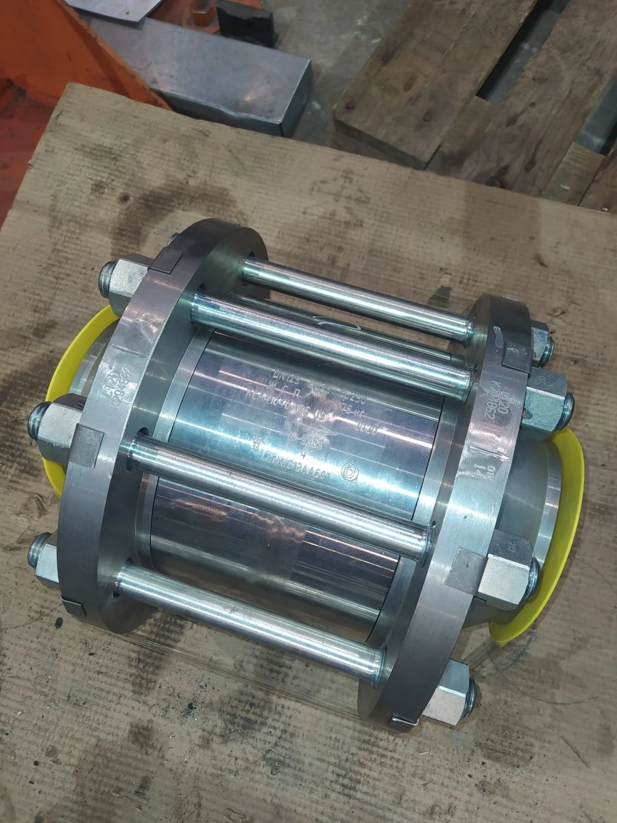 Reverse Valve KSA41040 for Nuclear Power Systems