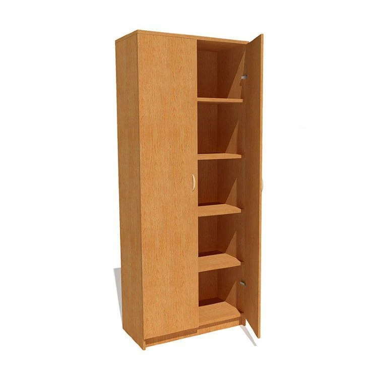 Closed Document Cabinet with Shelves