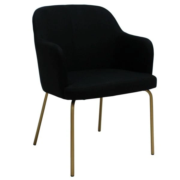 Eco-Friendly Monica Chair with Metal Frame