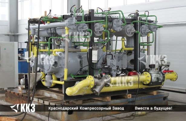 Oil-Free Piston Gas Compressor 2ГМ2,5-1,6/15-18С