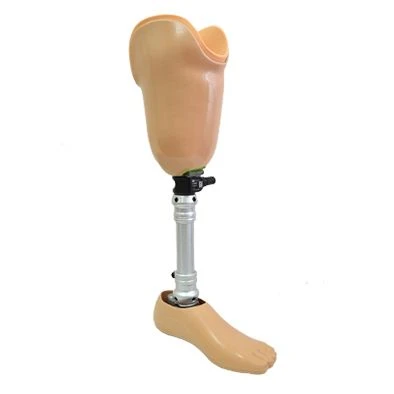 Modular Type Below-Knee Prosthesis for Bathing, Model PN3-87
