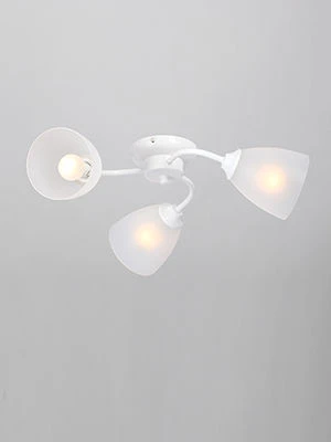 General Purpose Stationary Lamp V3597/3PL