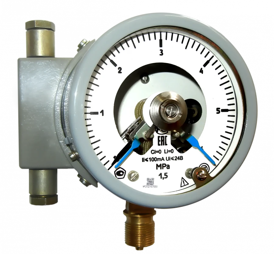 Pressure Gauges DM5010Cg for Measuring Excess and Vacuum Pressure