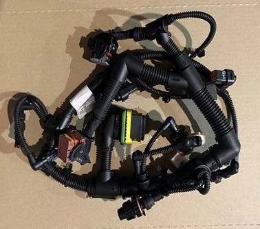 Engine Control System Wiring Harness 667.510-4071400