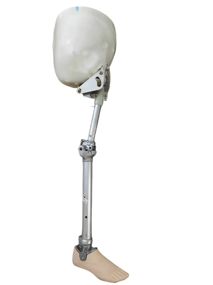 Non-modular hip disarticulation prosthesis PN8-M-N