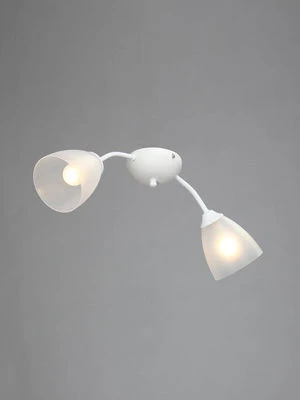 General Purpose Stationary Light V3737-0/2PL