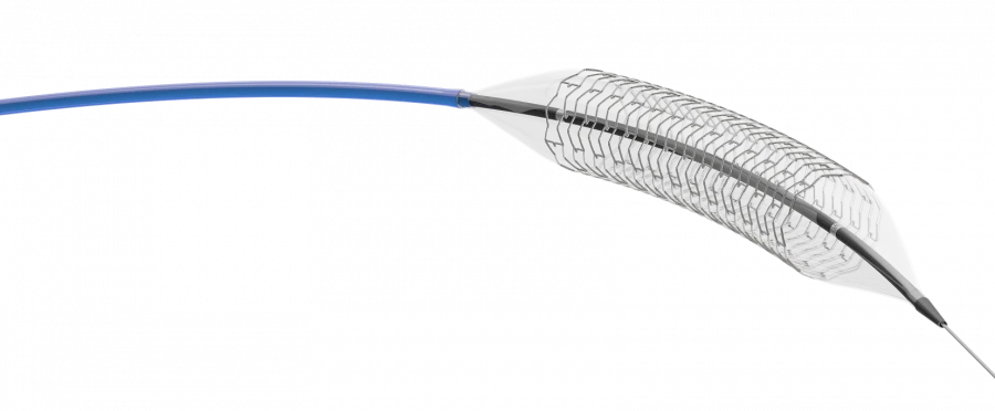 Drug-Eluting Coronary Artery Stent