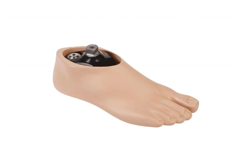 Adjustable Articulated Foot for Amputation Patients 1H01A