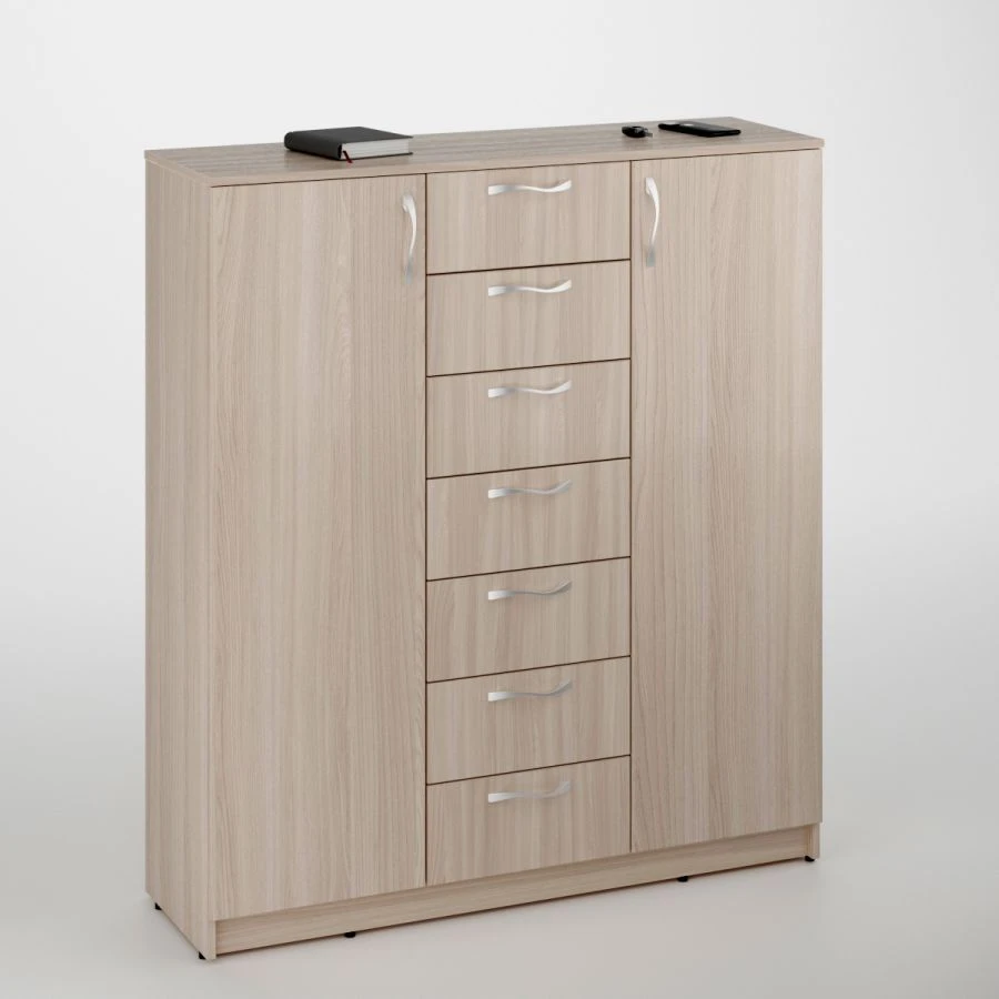 Low Document Cabinet with 2 Doors and Drawers