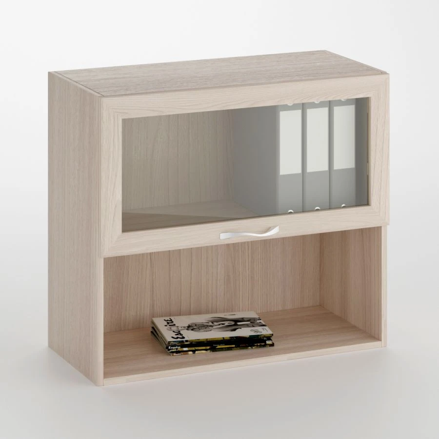 Wall-Mounted Shelf with Glass Door