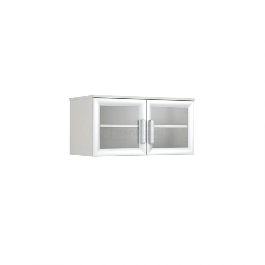 Two-Door Cabinet with Insert Shelf, Model SHA-2ST