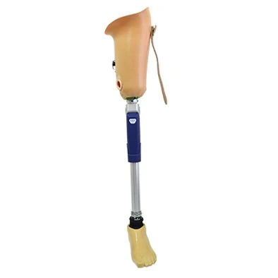 Modular Hip Prosthesis for Amputation PN6-73 (Silicone Cover PN6-72.01)