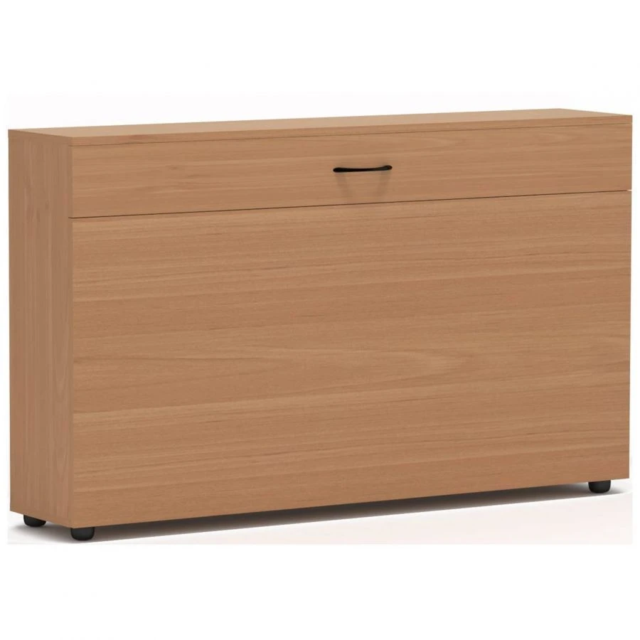 Large Poster Storage Cabinet by Edelwood