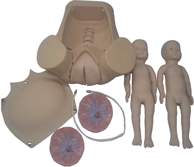 Childbirth Simulation Model GP6612/5A - Adult Female Body with Newborns