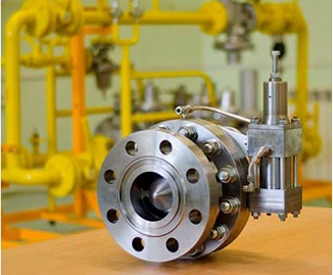 Gas Pressure Regulator Direct Flow RDPV EKFO DN50/PN100