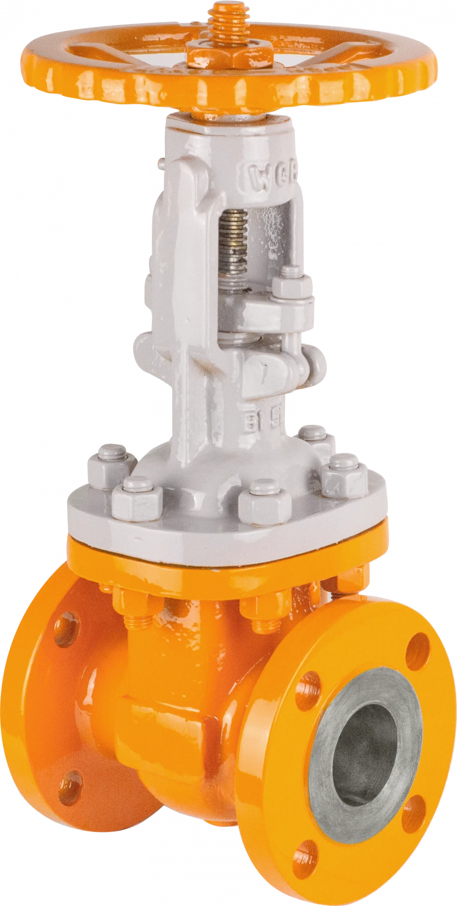 Wedge Gate Valve NTG Series DN50-300 PN 40-250