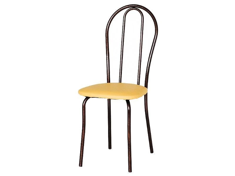 Standard Chair with Metal Frame