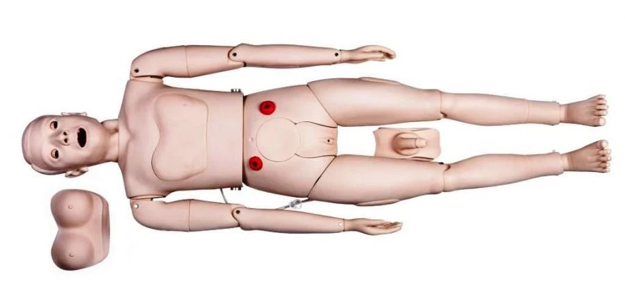 Adult Care Training Mannequin with Replaceable Genitals, NS6001