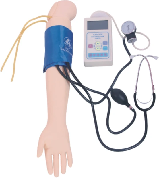 Blood Pressure Measurement Trainer S7G