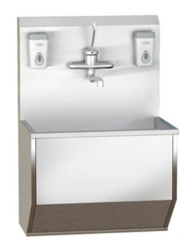 Medical Wall-Mounted Sink, Model DM-6-111-01