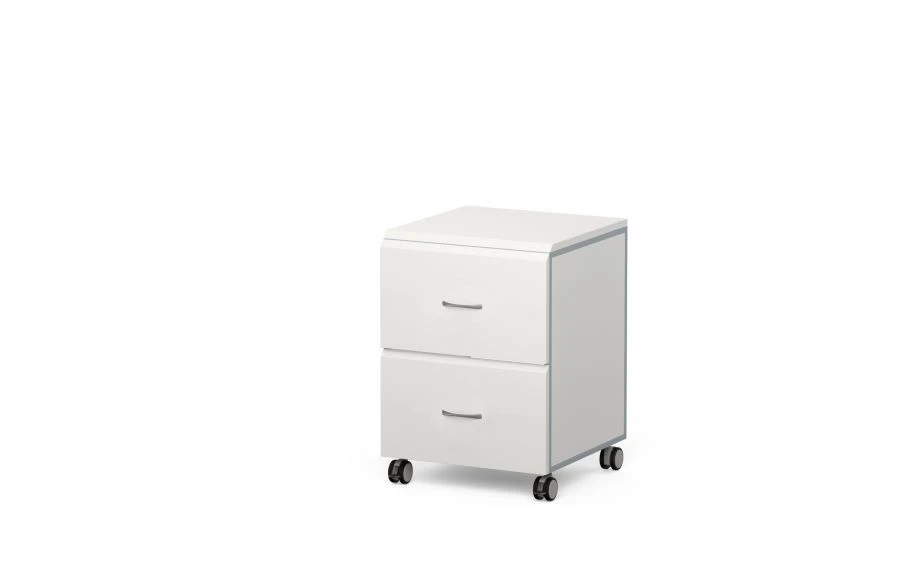 Mobile Laboratory Cabinet on Wheels