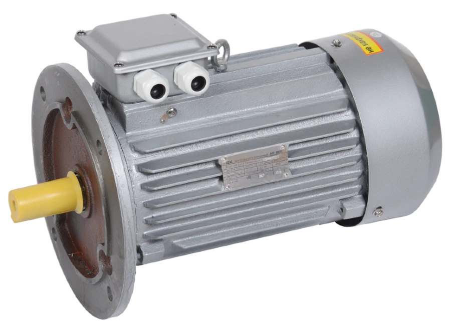 Asynchronous Three-Phase Electric Motor 11kW 132M2 380V