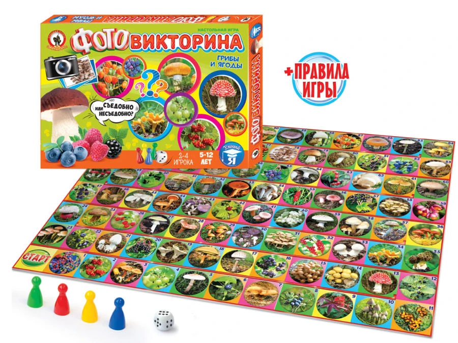 Educational Board Game - Photo Quiz "Mushrooms and Berries