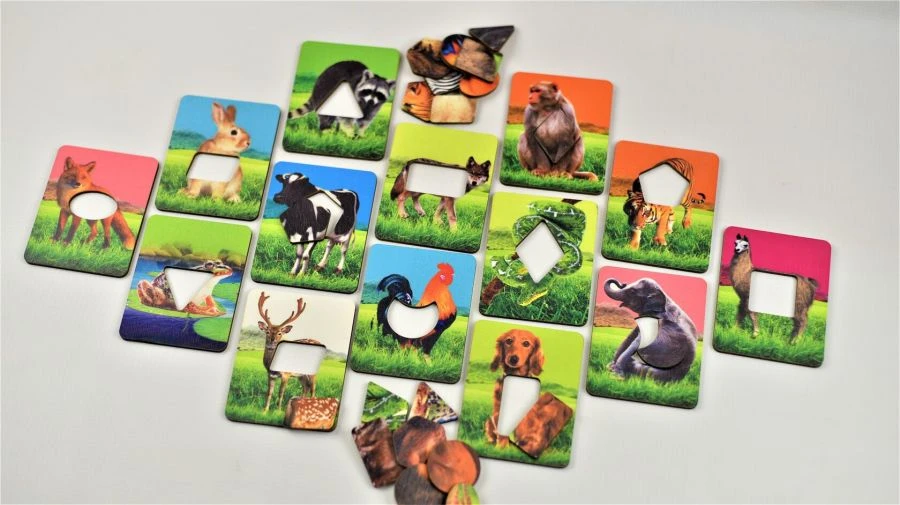 Educational Game Set "Where's Whose Skin?" (Seguin Method)