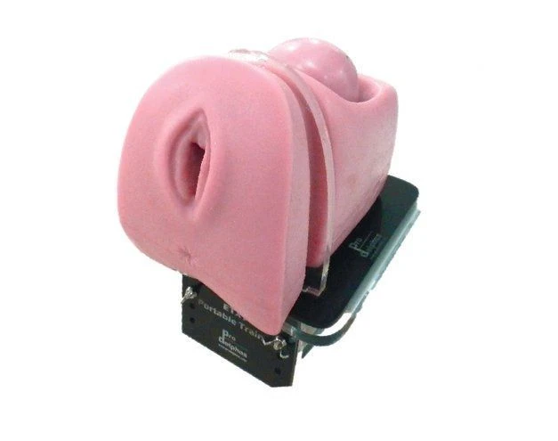 Hysteroscopy Training Simulator with Replaceable Uterine Modules, GP100S